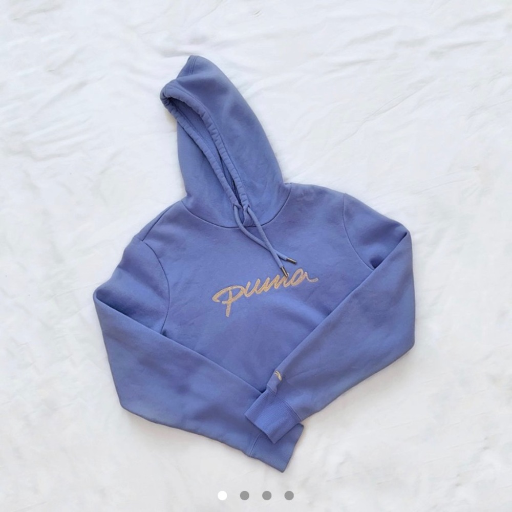 Puma periwinkle hoodie